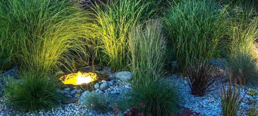 Transform your garden – 10 jaw-dropping drought resistant lawn alternatives